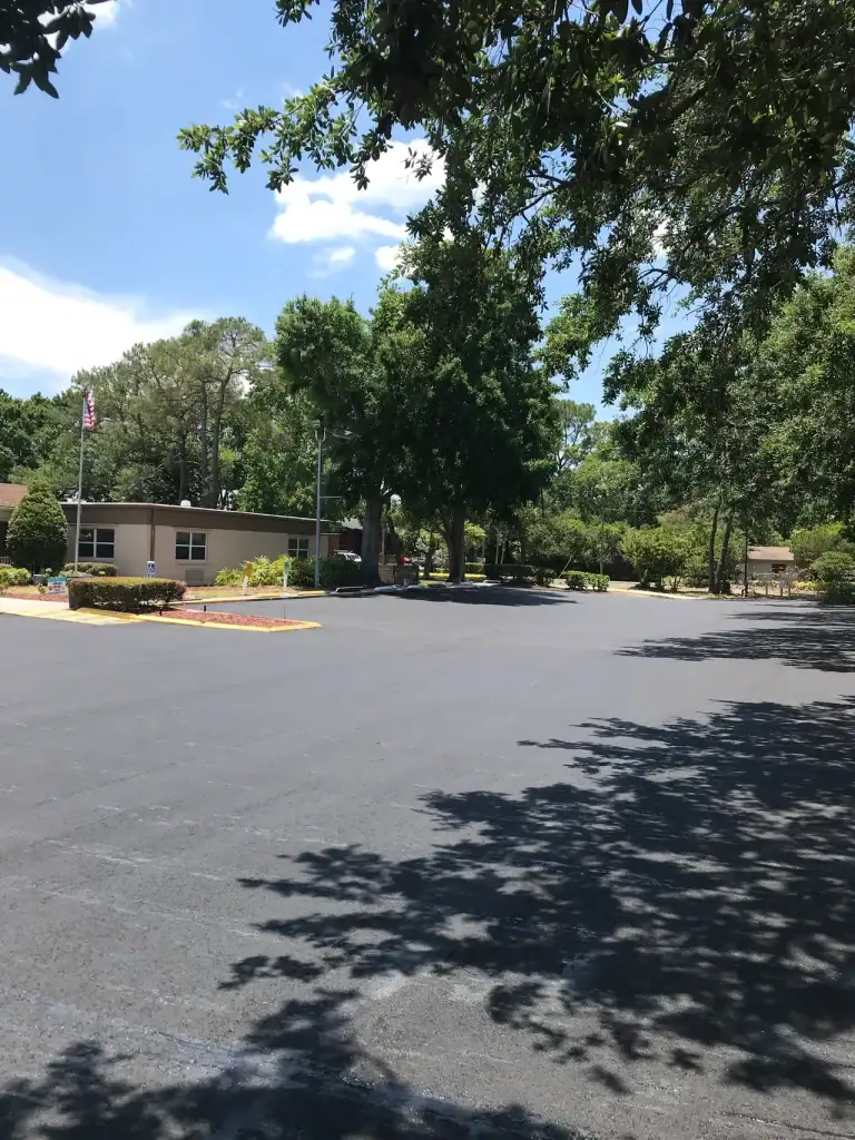 Freshly paved asphalt lot in Central Florida with clear sky and surrounding greenery, showcasing professional blacktop paving services.